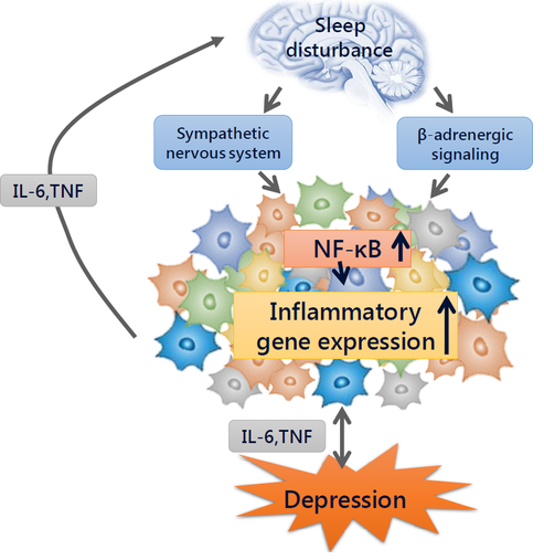 Depression in sleep disturbance