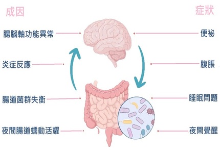 Impact of poor sleep on digestive health