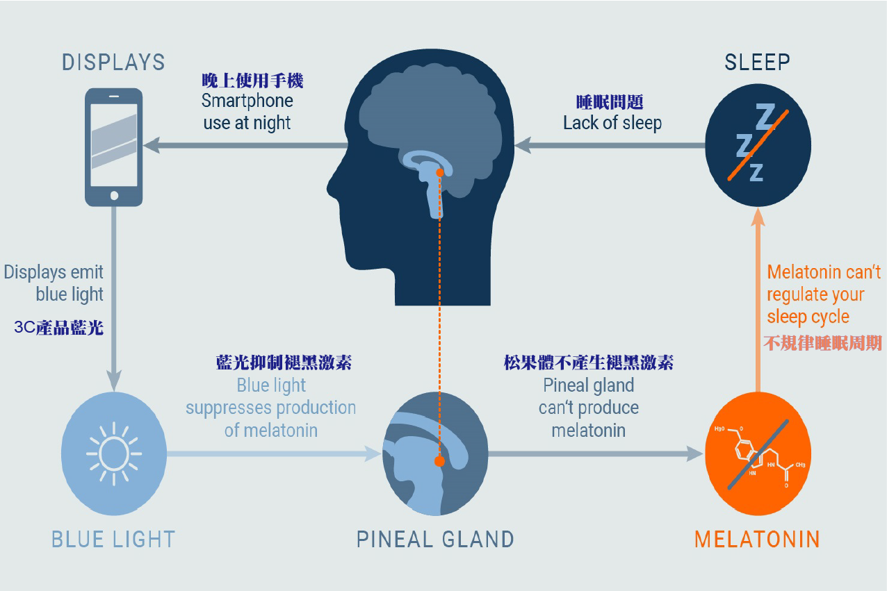 infographic melatonin