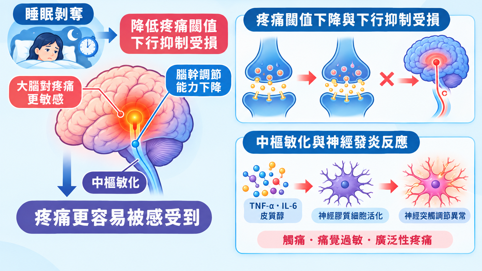 睡眠剝奪與發炎反應